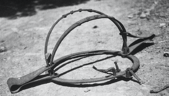 Schlagfalle, Symbolbild (Foto: Wikimedia commons, Pavla Štrukelj) Schlagfalle, Symbolbild (Foto: Wikimedia commons, Pavla Štrukelj)