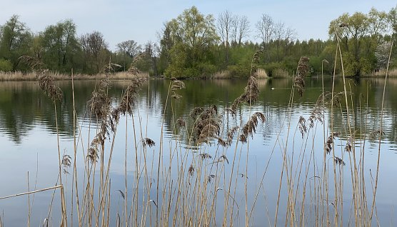 Am Mittelpunkt Deutschlands bei Niederdorla (Foto: oas)