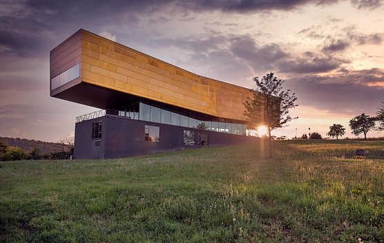 Die Arche Nebra bei Sonnenuntergang (Foto: Falko Matte)