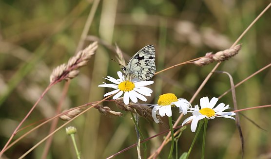 In der Trauer nicht alleine sein.  (Foto: Eva Maria Wiegand)