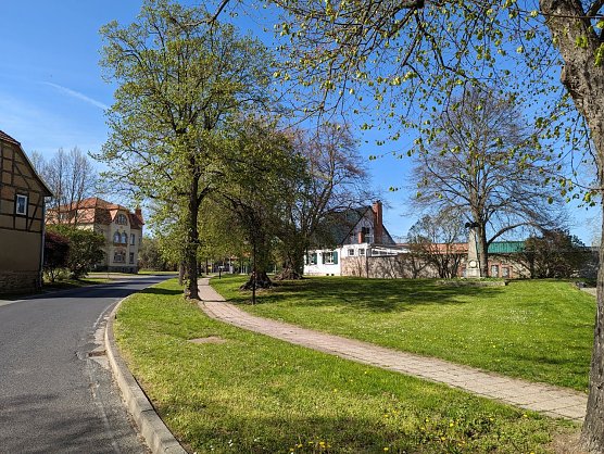 Gr&uuml;n, gr&uuml;ner, Hohenebra: Im Ortsteil gr&uuml;nt es an jeder Ecke.  (Foto: Janine Skara)