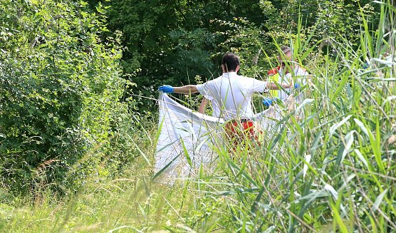 Todesfall im Schlossteich (Foto: S.Dietzel)