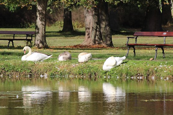 Im Sondersh&auml;user Schlosspark (Foto: Eva Maria Wiegand)