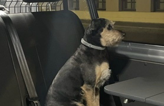 Der Streifenwagen war ger&auml;umiger (Foto: Landespolizeiinspektion Nordhausen)