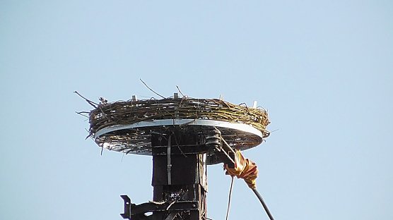 Im Moment noch unbewohnt, aber die Hoffnung ist groß (Foto: Ulrich Reinboth) Im Moment noch unbewohnt, aber die Hoffnung ist groß (Foto: Ulrich Reinboth)