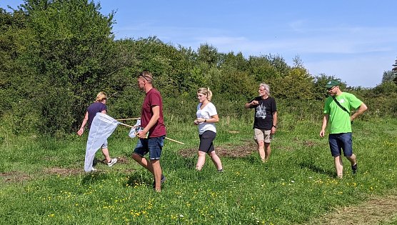 Beobachtung von Schmetterlingen am Gr&uuml;nen Band (Foto: LPV)