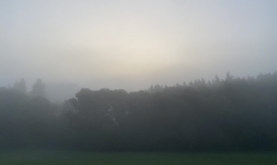 Vielfach ist es neblig im Freistaat und die Sonne k&auml;mpft sich nur langsam durch (Foto: oas)