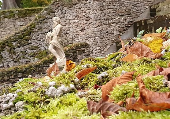 Herbstzeit im Schlosspark Ebeleben (Foto: Katja Marsell)