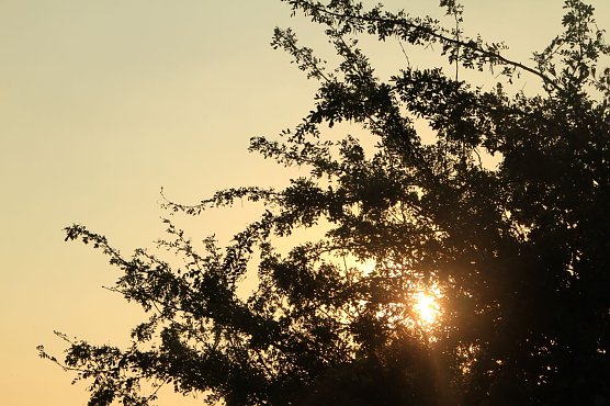 Wetterbild (Foto: agl)