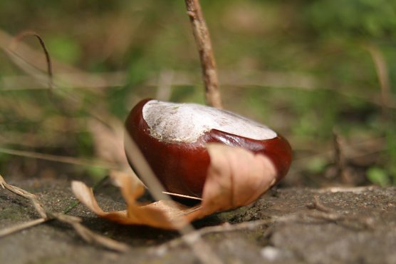 Wetterbild (Foto: nnz) Wetterbild (Foto: nnz)