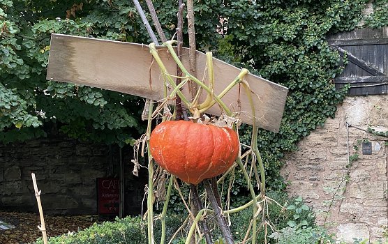Die freundlichen Herbsttage sind vorbei (Foto: oas) Die freundlichen Herbsttage sind vorbei (Foto: oas)