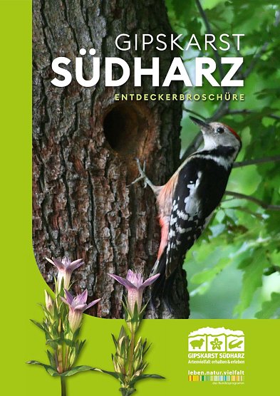 Entdeckerbroschüre für den Südharz (Foto: Biosphärenreservat Südharz) Entdeckerbroschüre für den Südharz (Foto: Biosphärenreservat Südharz)