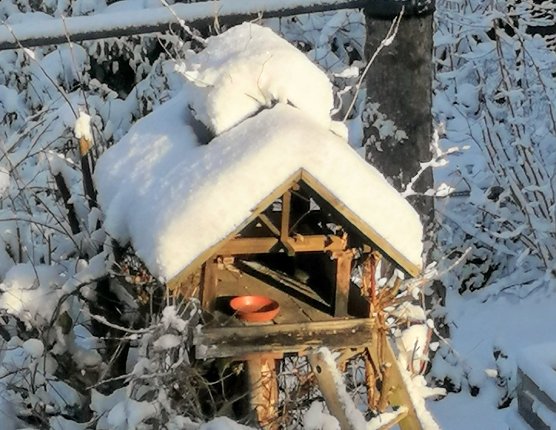 Besuch am Morgen (Foto: Anita Kaltbach)
