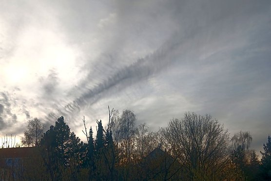 Himmelsbeobachtung (Foto: Tannh&auml;user)