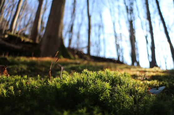 Wetterbild (Foto: agl)