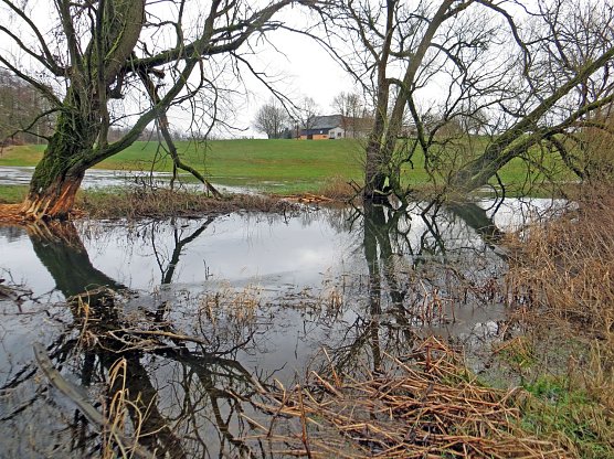 Intakte Auelandschaft (Foto: Marcus Orlam&uuml;nder)