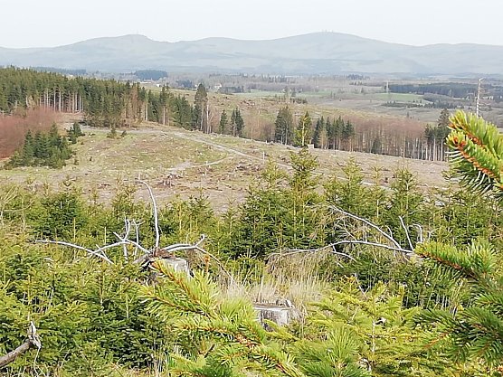 Blick auf den Brocken bei 15 Grad und Sonnenschein (Foto: W. Jörgens) Blick auf den Brocken bei 15 Grad und Sonnenschein (Foto: W. Jörgens)