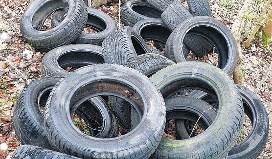 Entsorgte Reifen bei Helbedündorf (Foto: Landespolizeiinspektion Nordhausen) Entsorgte Reifen bei Helbedündorf (Foto: Landespolizeiinspektion Nordhausen)