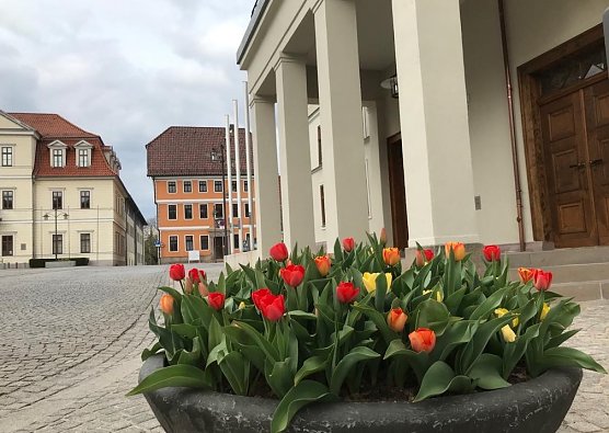 Rathaus in Sondershausen  (Foto: Eva Maria Wiegand)