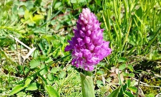 Schönheit der Natur (Foto: Steffen Liesegang) Schönheit der Natur (Foto: Steffen Liesegang)