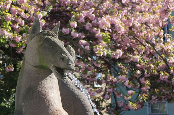 Wetterbild (Foto: agl)