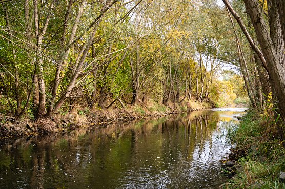 Die Wipper von der Quelle bis zur M&uuml;ndung (Foto: Jana Gro&szlig;)