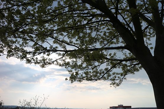 Wetterbild (Foto: agl) Wetterbild (Foto: agl)