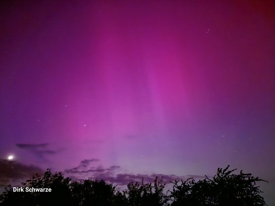 Polarlichter &uuml;ber Werther gestern Abend (Foto: D.Schwarze)