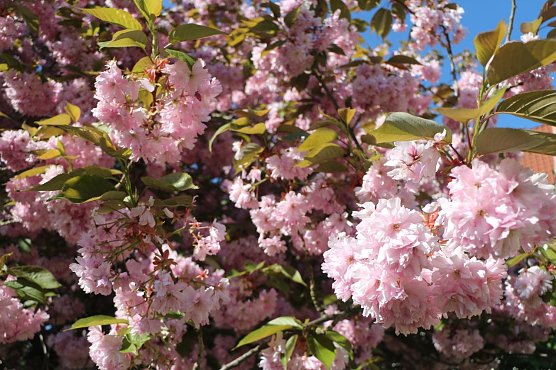 Wetterbild (Foto: agl) Wetterbild (Foto: agl)