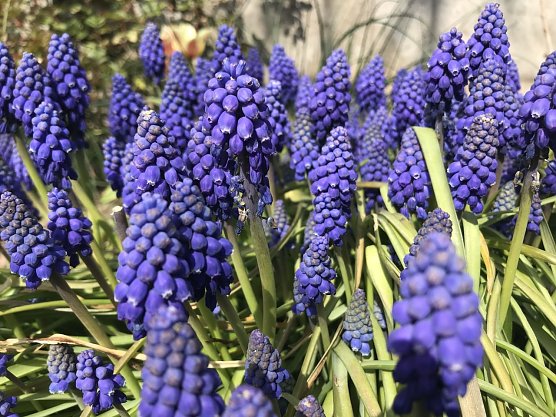 Wetterbild (Foto: agl) Wetterbild (Foto: agl)