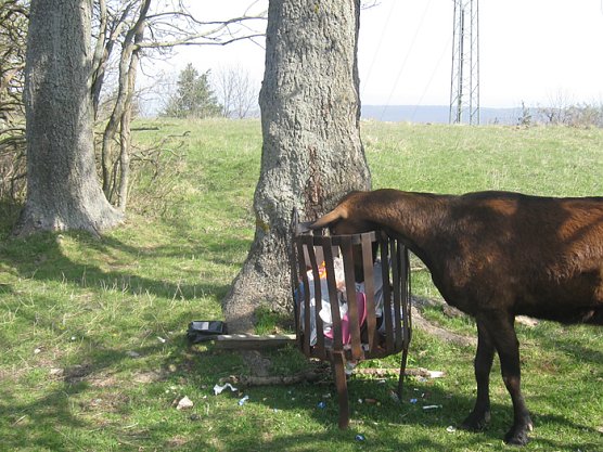 Bel&auml;stigung auf Frauenberg (Foto: Karl-Heinz Herrmann)