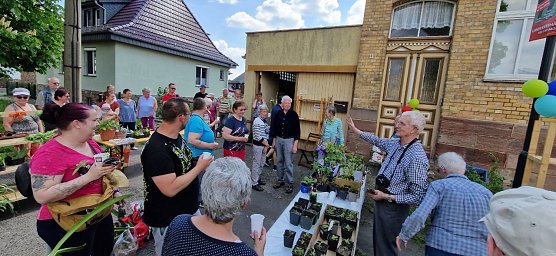 10. Frankenh&auml;user Pflanzenb&ouml;rse (Foto: Peter Zimmer)