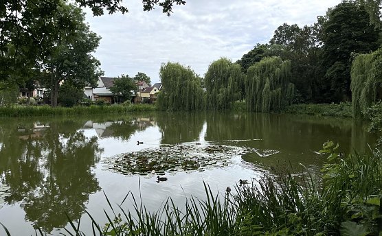 Heftige Regenf&auml;lle bedrohen Veranstaltungen am Samstag (Foto: oas)