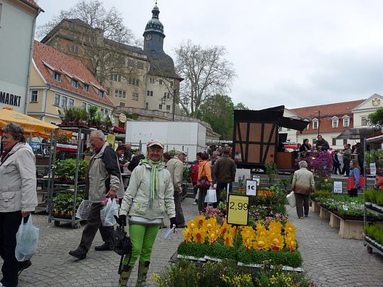 Pflanzenmarkt Sondershausen (Foto: Karl-Heinz Herrmann)