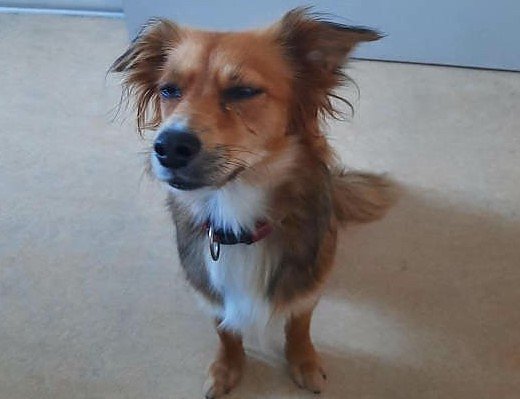 Alleinreisender unbekannter Herkunft (Foto: Bundespolizei) Alleinreisender unbekannter Herkunft (Foto: Bundespolizei)