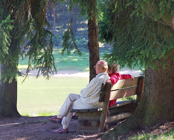 Der schattige Wald bietet zu den aktuell anstehenden hei&szlig;en Sonnentagen Linderung. Doch Vorsicht: Die Hautkrebs verursachende UV-Strahlung durchdringt ma&szlig;geblich die Baumkronen (Foto: Dr. Horst Spro&szlig;mann)