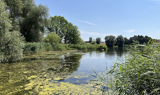Gewitterneigung nimmt wieder zu (Foto: oas)