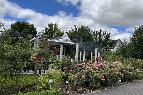 Rosengarten Bad Langensalza (Foto: oas) Rosengarten Bad Langensalza (Foto: oas)