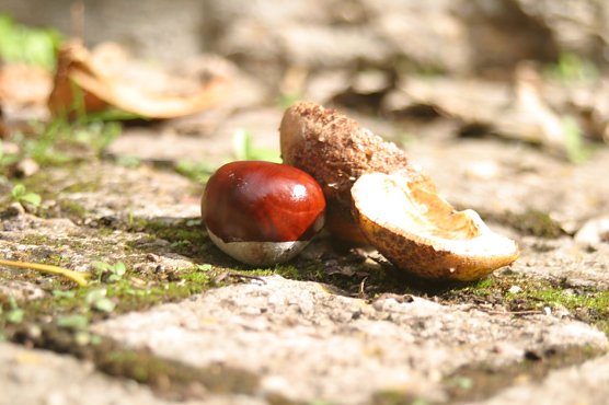 Wetterbild (Foto: nnz) Wetterbild (Foto: nnz)