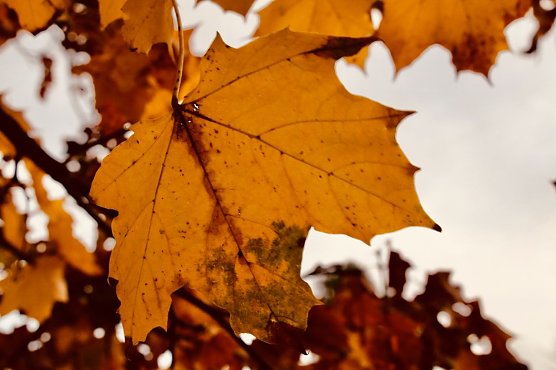 Wetterbild (Foto: agl) Wetterbild (Foto: agl)