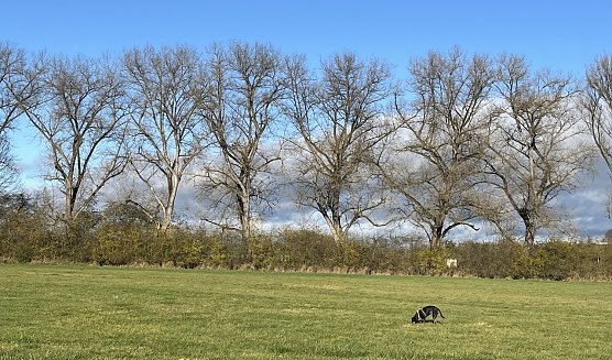 Wieder freundlicheres Herbstwetter (Foto: oas)