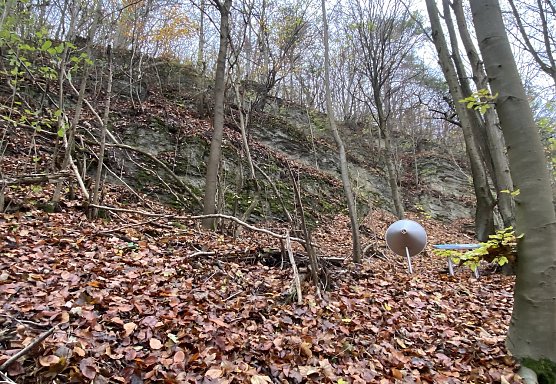 Herbstlicher Wald zwischen Rottleben und Frankenhausen (Foto: Wolfgang Lehmann) Herbstlicher Wald zwischen Rottleben und Frankenhausen (Foto: Wolfgang Lehmann)
