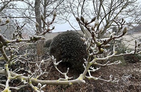 Die Nächste bleiben weiter frostig (Foto: oas) Die Nächste bleiben weiter frostig (Foto: oas)