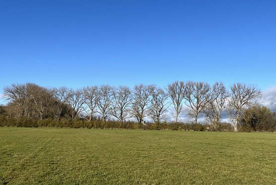 Windig und frostfrei in den nächsten Tagen (Foto: oas) Windig und frostfrei in den nächsten Tagen (Foto: oas)
