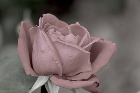 Symbolbild  (Foto: emw)