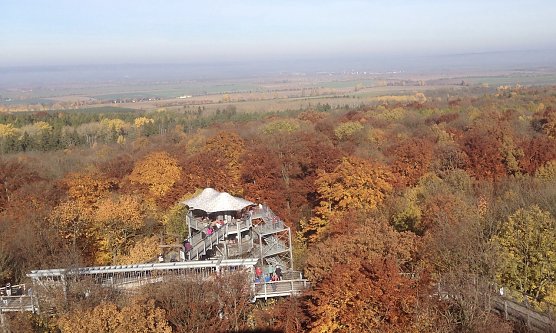 Beliebtes touristisches Ziel: Baumkronenpfad im Hainich (Foto: uhz Archiv)