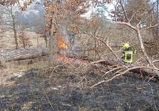 Waldbrand bei Bad Frankenhausen (Foto: Feuerwehr Bad Frankenhausen) Waldbrand bei Bad Frankenhausen (Foto: Feuerwehr Bad Frankenhausen)