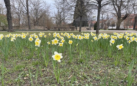 Heute st&uuml;rmisch mir Gewitterneigung (Foto: oas)