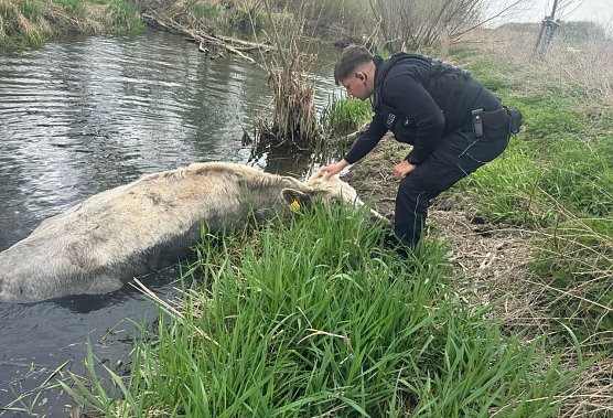 Tierrettung aus der Unstrut (Foto: LPI) Tierrettung aus der Unstrut (Foto: LPI)