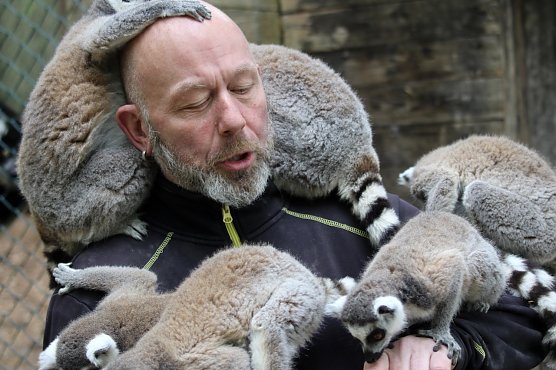 Affenvater im Affentheater: Silvio Dietzel und seine hungrigen Freunde (Foto: Eva Maria Wiegand) Affenvater im Affentheater: Silvio Dietzel und seine hungrigen Freunde (Foto: Eva Maria Wiegand)